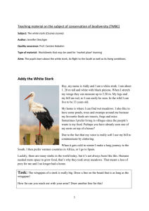 Addy the White Stork