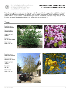 Drought-Tolerant Plant Color Reference Guide