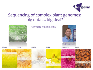 Oxford Nanopore sequencing of complex plant genomes