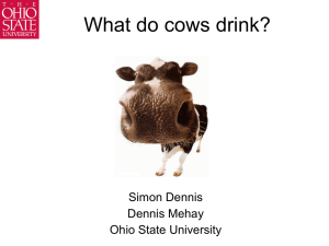 What do cows drink?