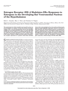 Estrogen Receptor (ER) Modulates ER