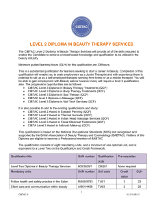 level 2 diploma in beauty therapy services