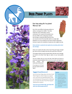 Deer Proof Plant List - Mississippi Nursery and Landscape Association