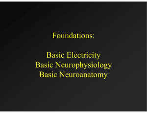 Basic Electricity Basic Neurophysiology Basic Neuroanatomy