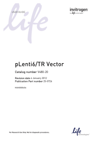 pLenti6/TR Vector - Thermo Fisher Scientific