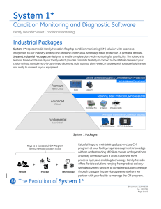 System 1 Industrial Packages Datasheet 887 KB