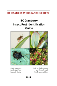 BC Cranberry Insect Pest Identification Guide