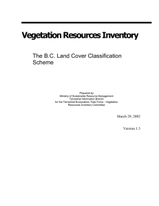 Vegetation Resources Inventory - Ministry of Forests, Lands and