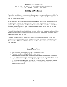 general lab report guidelines - SEAS