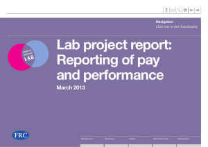 Lab project report: Reporting of pay and performance