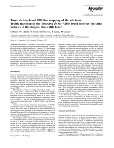 Towards interbreed IBD fine mapping of the mh locus