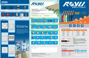 Royu Flyer 4_33 in x 8_5 in 3-Fold