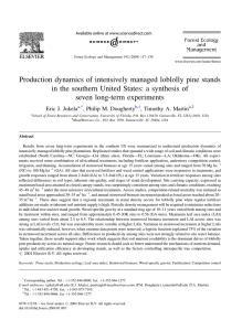 Production dynamics of intensively managed loblolly pine