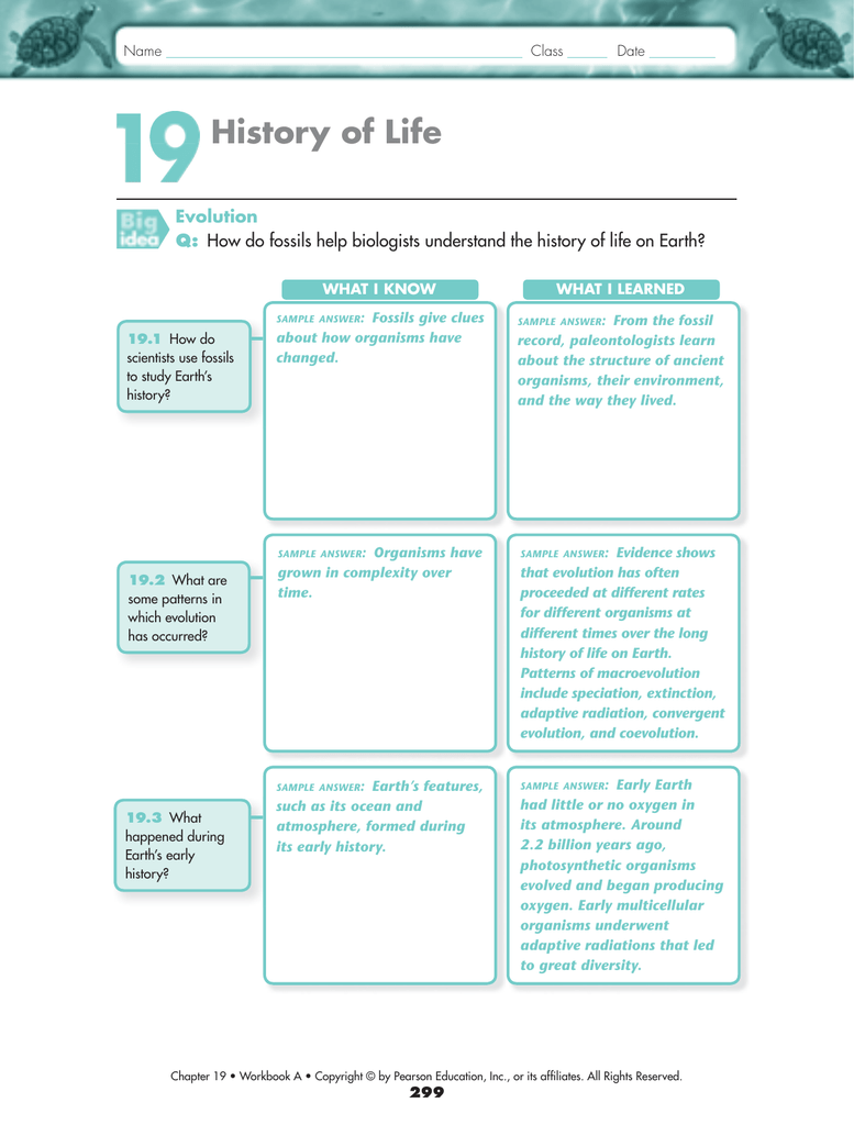 Study Guide Chapter 19 Part 1