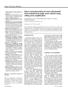 Direct retransformation of yeast with plasmid DNA isolated from