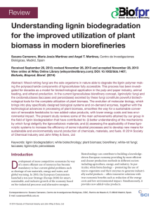 Understanding lignin biodegradation for the improved utilization of