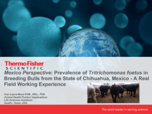 presentation - Thermo Fisher Scientific