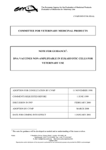 DNA Vaccines Non-Amplifiable in Eukaryotic cell for Veterinary Use