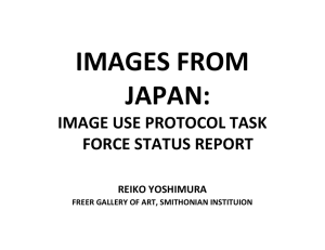 image use protocol task force status report