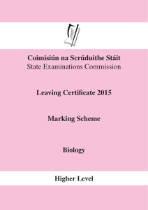 marking scheme