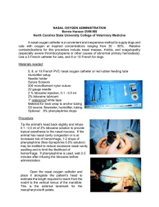 Nasal oxygen catheter technique