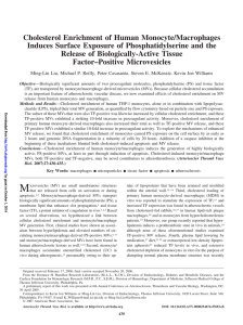 Cholesterol Enrichment of Human Monocyte/Macrophages Induces