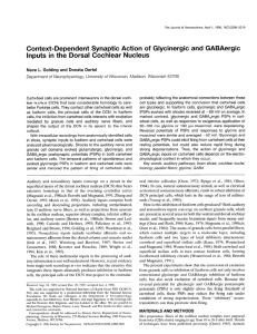 Context-Dependent Synaptic Action of Glycinergic and GABAergic