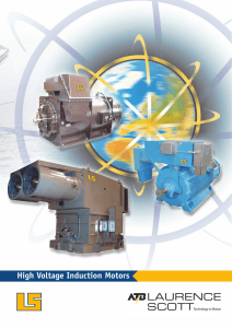 High Voltage Induction Motors