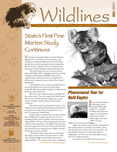 article in the Wildlines Newsletter, Fall 2004