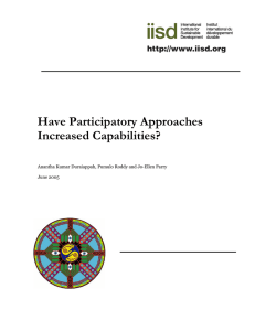 Have Participatory Approaches Increased Capabilities?