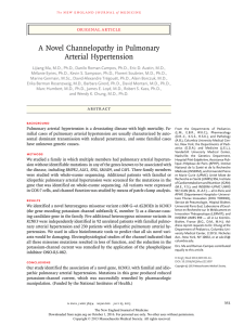 A Novel Channelopathy in Pulmonary Arterial Hypertension