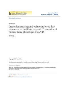 Quantification of regional pulmonary blood flow parameters via