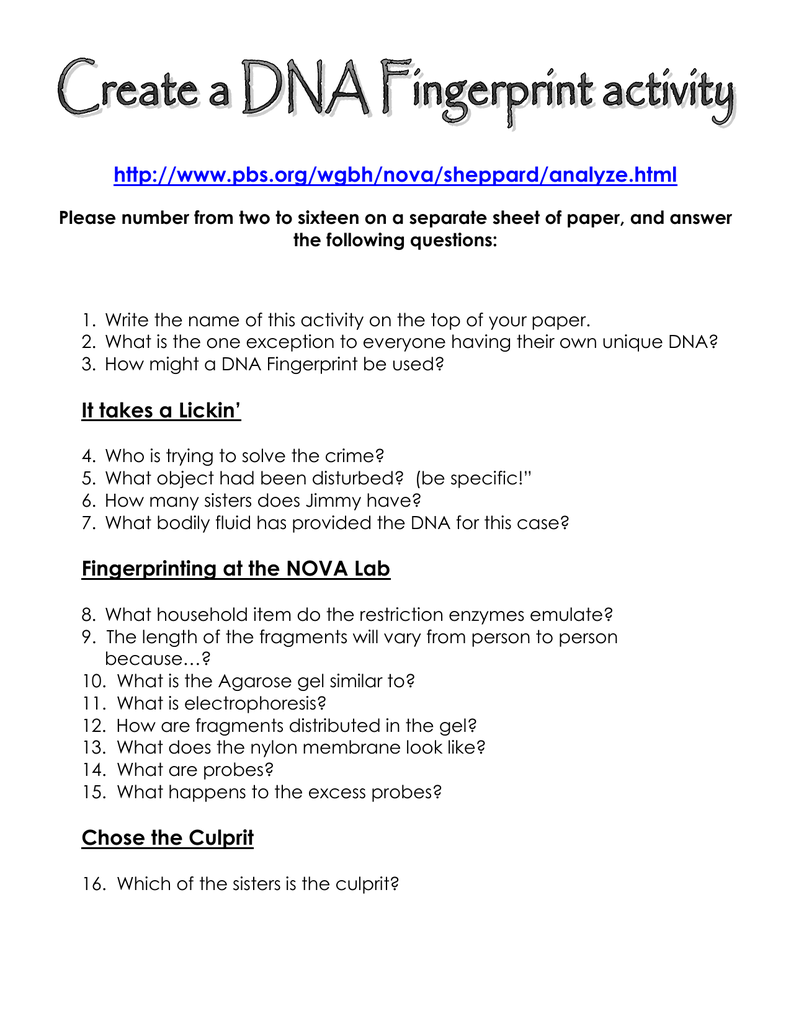 Dna Fingerprinting Worksheet Answer Key Pbs Worksheet