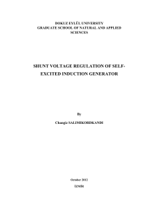 shunt voltage regulation of self