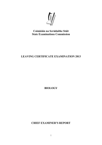 Chief Examiner`s Report 2013 - State Examination Commission