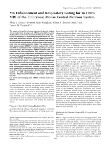 Mn enhancement and respiratory gating for in utero MRI of the