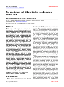 Rat adult stem cell differentiation into immature retinal cells