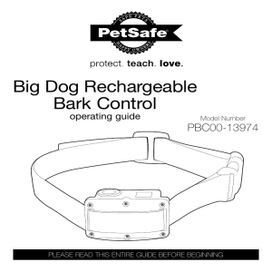 Big Dog Rechargeable Bark Control