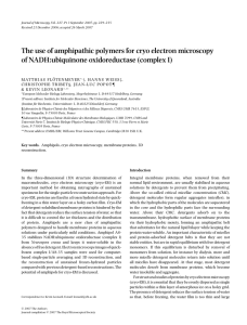 The use of amphipathic polymers for cryo electron microscopy of