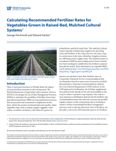 Calculating Recommended Fertilizer Rates for Vegetables