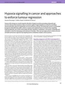 Hypoxia signalling in cancer…