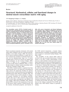 Structural, biochemical, cellular, and functional changes in