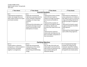Essential Standards Clarifying Objectives