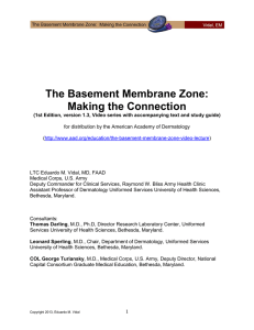 The Basement Membrane Zone: Making the Connection