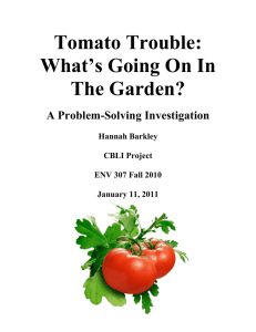 Tomato Trouble: What`s Going On In The Garden?