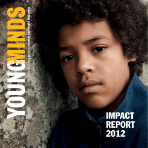 impact report 2012
