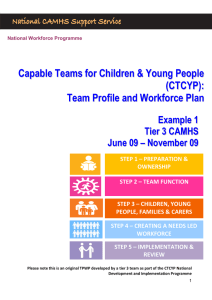 (CTCYP): Tier 3 - Team Profile and Workforce Plan