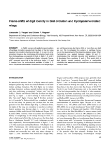 Frame-shifts of digit identity in bird evolution and Cyclopamine