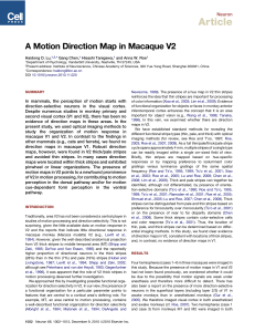 A Motion Direction Map in Macaque V2