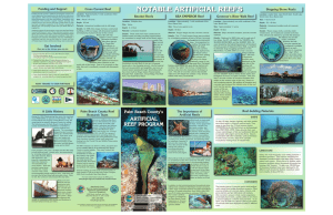 artificial reef brochure